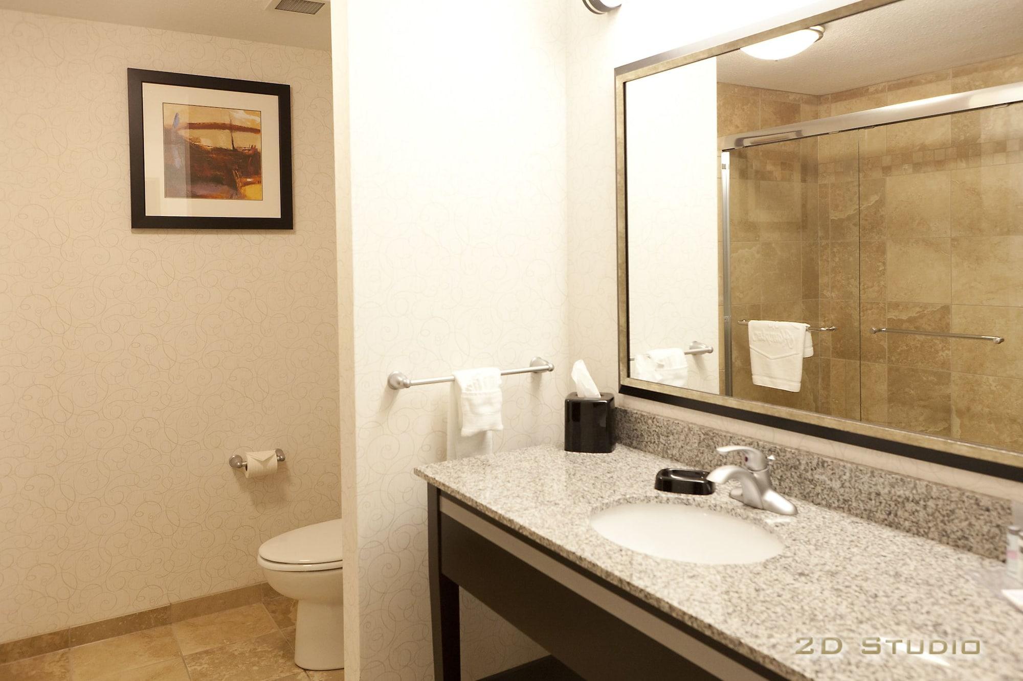 Hampton Inn & Suites By Hilton Lethbridge Zewnętrze zdjęcie