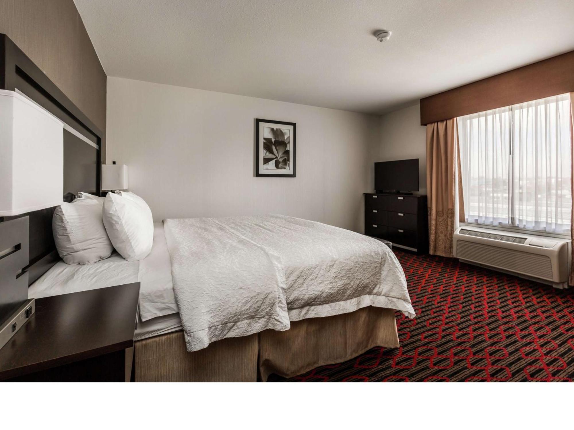 Hampton Inn & Suites By Hilton Lethbridge Zewnętrze zdjęcie